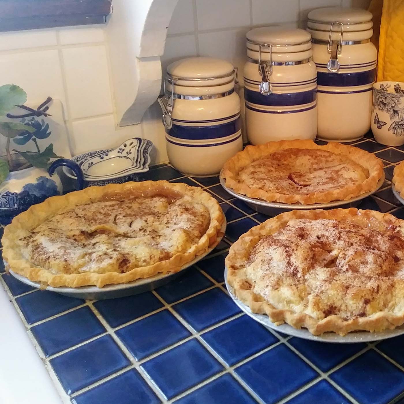 Assorted homemade pies arranged on a blue counter.
