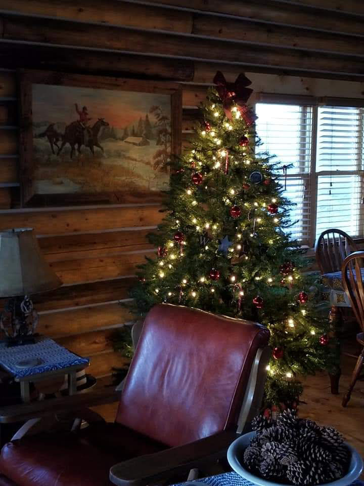 triangle-ranch-cabin-under-the-hill-6 Living area with leather chair, wood stove, and holiday decorations.