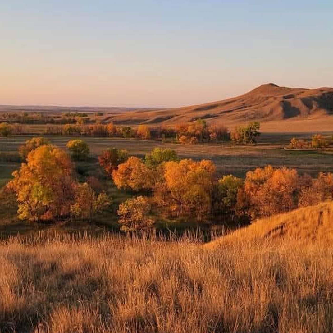Prairie landscape with warm golden grasses and distant hills.