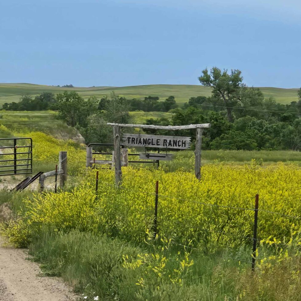 Historic South Dakota Stay — Triangle Ranch Bed and Breakfast